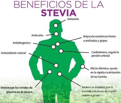 beneficios-stevia